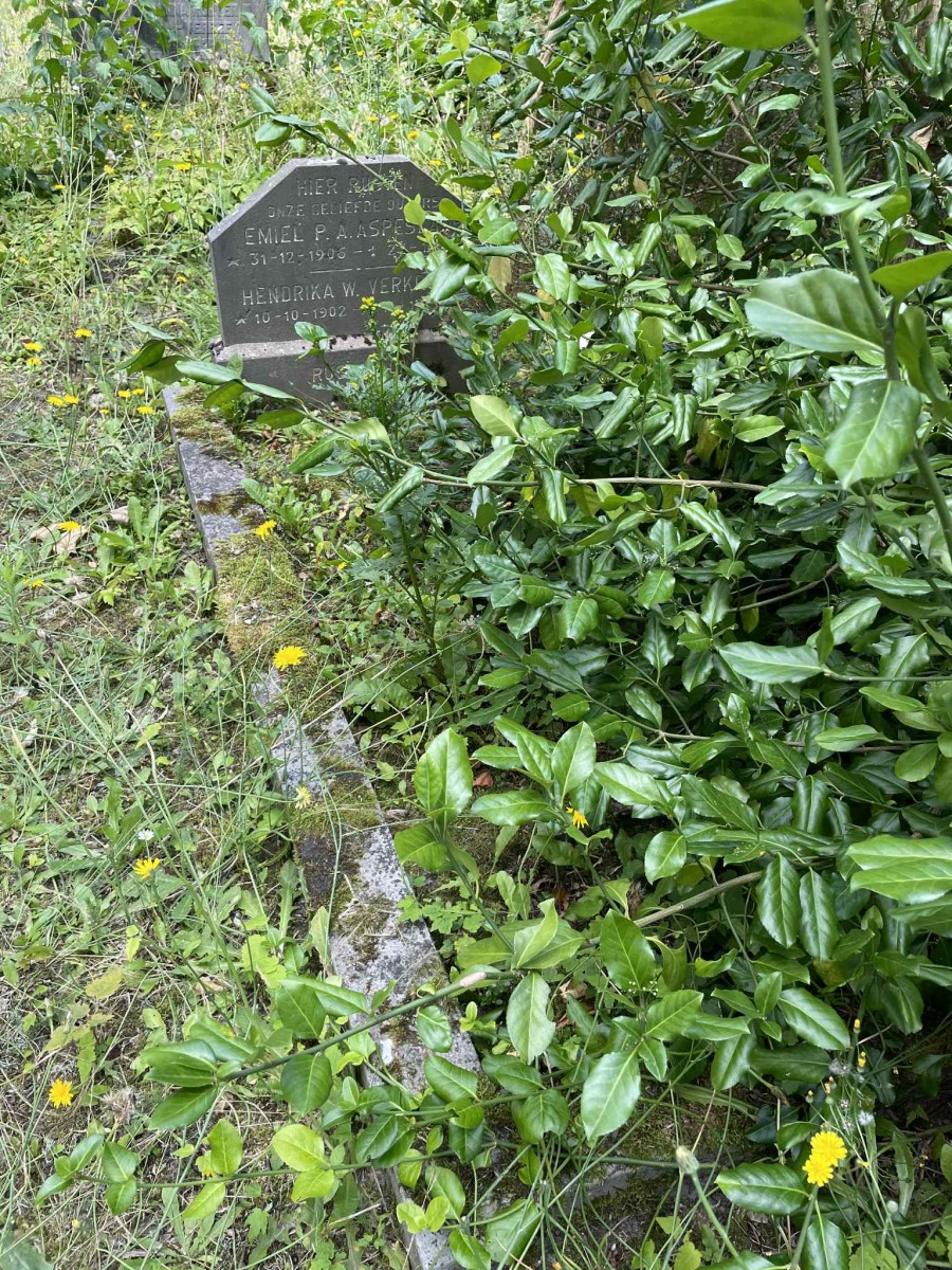 Stichting Bunkerbehoud herstelt oorlogsgraven